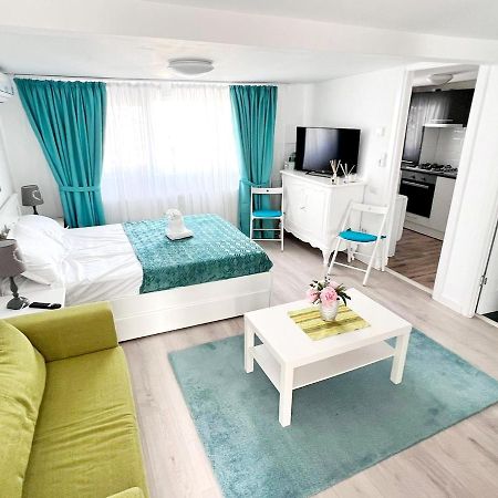Apartmán Modern Studio Park Carol Unirii - Lam1 Bukurešť Exteriér fotografie