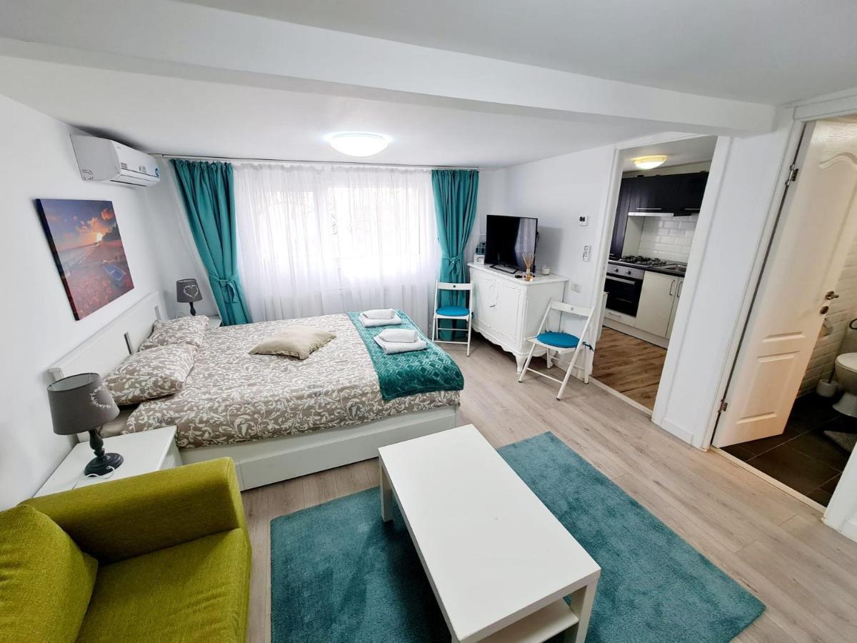 Apartmán Modern Studio Park Carol Unirii - Lam1 Bukurešť Exteriér fotografie